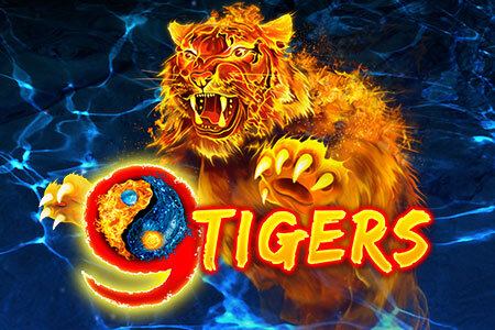 9 Tigers