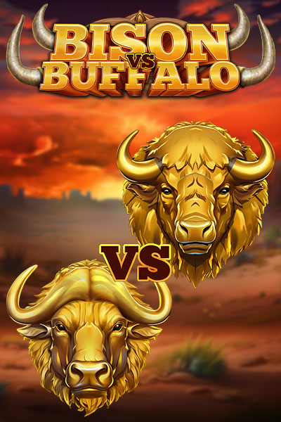 Bison vs Buffalo